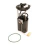DELPHI FG0433 Fuel Pump Module Assembly