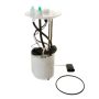 DELPHI FG0919 Fuel Pump Module Assembly