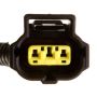 DELPHI FG0949 Fuel Pump Module Assembly
