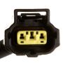 DELPHI FG0951 Fuel Pump Module Assembly