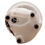 DELPHI FG0970 Fuel Pump Module Assembly