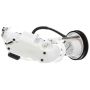 DELPHI FG1184 Fuel Pump Module Assembly