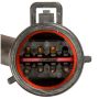 DELPHI FG1209 Fuel Pump Module Assembly