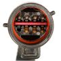 DELPHI FG1211 Fuel Pump Module Assembly