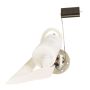 DELPHI FG1213 Fuel Pump Module Assembly