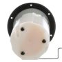 DELPHI FG1231 Fuel Pump Module Assembly