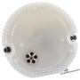 DELPHI FG1240 Fuel Pump Module Assembly