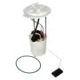 DELPHI FG1318 Fuel Pump Module Assembly