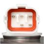 DELPHI FG1347 Fuel Pump Module Assembly