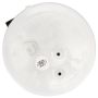 DELPHI FG1381 Fuel Pump Module Assembly
