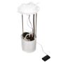DELPHI FG1432 Fuel Pump Module Assembly