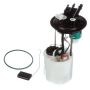 DELPHI FG1510 Fuel Pump Module Assembly