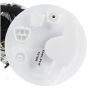 DELPHI FG1590 Fuel Pump Module Assembly