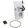 DELPHI FG1660 Fuel Pump Module Assembly