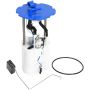 DELPHI FG1661 Fuel Pump Module Assembly
