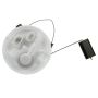 DELPHI FG1689 Fuel Pump Module Assembly
