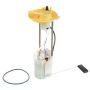 DELPHI FG1981 Fuel Pump Module Assembly