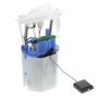 DELPHI FG1991 Fuel Pump Module Assembly