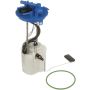 DELPHI FG2506 Fuel Pump Module Assembly