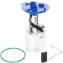 DELPHI FG2813 Fuel Pump Module Assembly