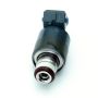 DELPHI FJ10058 Fuel Injector