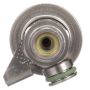 DELPHI FP10387 Fuel Injection Pressure Regulator