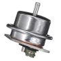 DELPHI FP10394 Fuel Injection Pressure Regulator