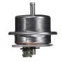 DELPHI FP10394 Fuel Injection Pressure Regulator