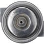 DELPHI FP10394 Fuel Injection Pressure Regulator