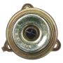 DELPHI FP10399 Fuel Injection Pressure Regulator
