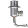 DELPHI FP10459 Fuel Injection Pressure Regulator