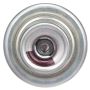DELPHI FP10666 Fuel Injection Pressure Regulator