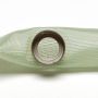 DELPHI FS0003 Fuel Pump Strainer