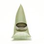 DELPHI FS0004 Fuel Pump Strainer