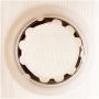 DELPHI FS0070 Fuel Pump Strainer