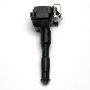 DELPHI GN10016 Ignition Coil