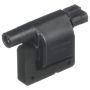 DELPHI GN10024 Ignition Coil
