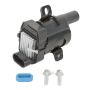 DELPHI GN10119 Ignition Coil