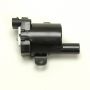 DELPHI GN10119 Ignition Coil