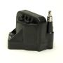 DELPHI GN10123 Ignition Coil
