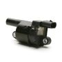 DELPHI GN10165 Ignition Coil
