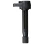 DELPHI GN10168 Ignition Coil