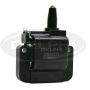 DELPHI GN10171 Ignition Coil