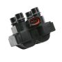 DELPHI GN10177 Ignition Coil