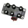 DELPHI GN10180 Ignition Coil