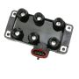 DELPHI GN10180 Ignition Coil