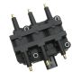 DELPHI GN10181 Ignition Coil