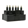 DELPHI GN10186 Ignition Coil