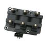DELPHI GN10186 Ignition Coil