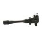 DELPHI GN10191 Ignition Coil